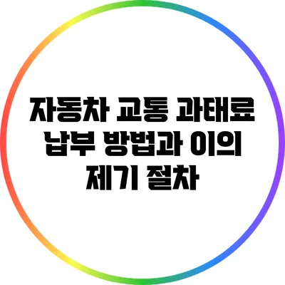 자동차 교통 과태료 납부 방법과 이의 제기 절차