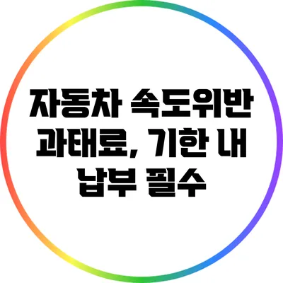 자동차 속도위반 과태료, 기한 내 납부 필수