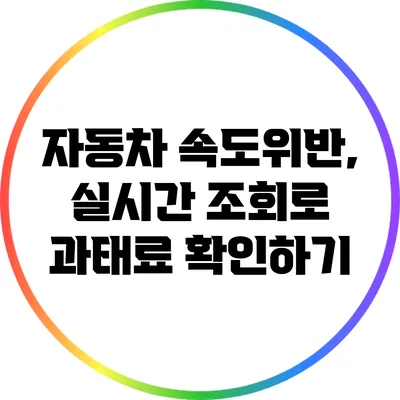 자동차 속도위반, 실시간 조회로 과태료 확인하기