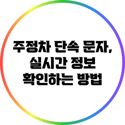 주정차 단속 문자, 실시간 정보 확인하는 방법