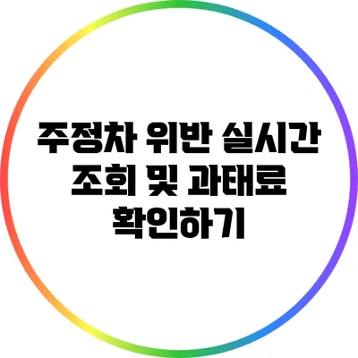 주정차 위반 실시간 조회 및 과태료 확인하기