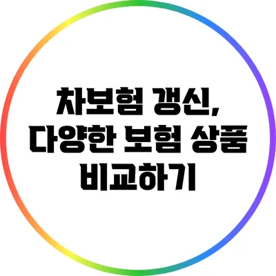 차보험 갱신, 다양한 보험 상품 비교하기