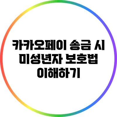 카카오페이 송금 시 미성년자 보호법 이해하기