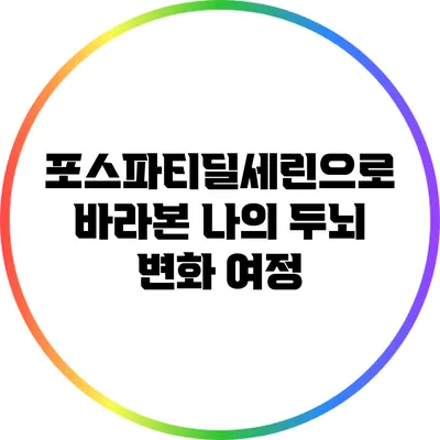 포스파티딜세린으로 바라본 나의 두뇌 변화 여정