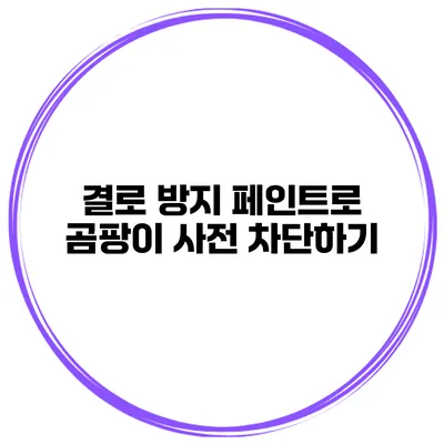 결로 방지 페인트로 곰팡이 사전 차단하기