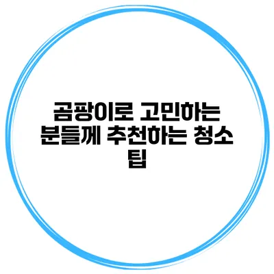곰팡이로 고민하는 분들께 추천하는 청소 팁