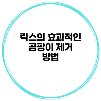락스의 효과적인 곰팡이 제거 방법