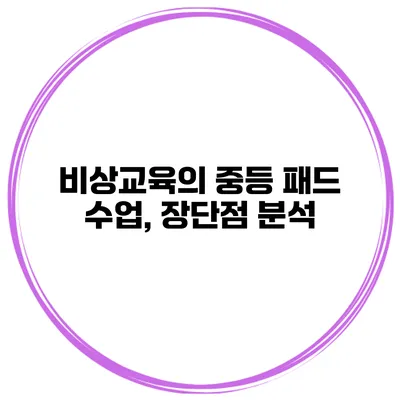 비상교육의 중등 패드 수업, 장단점 분석