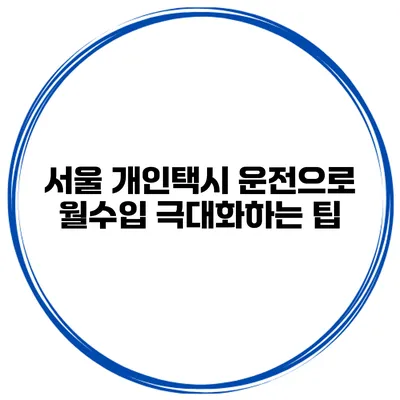 서울 개인택시 운전으로 월수입 극대화하는 팁
