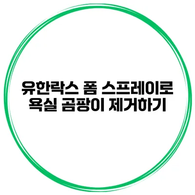 유한락스 폼 스프레이로 욕실 곰팡이 제거하기