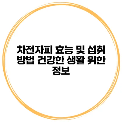 차전자피 효능 및 섭취 방법 건강한 생활 위한 정보