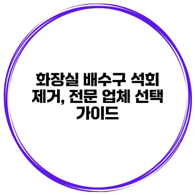 화장실 배수구 석회 제거, 전문 업체 선택 가이드