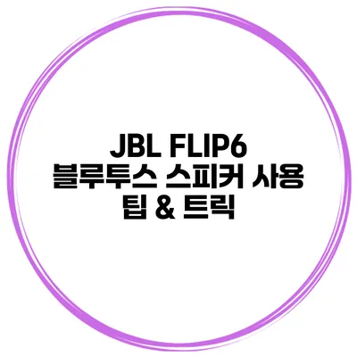 JBL FLIP6 블루투스 스피커 사용 팁 & 트릭