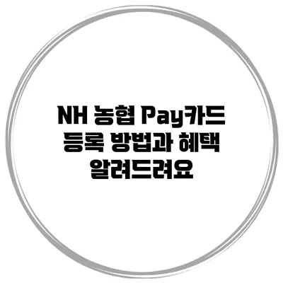 NH 농협 Pay카드 등록 방법과 혜택 알려드려요