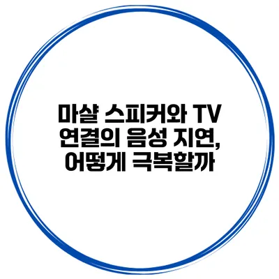 마샬 스피커와 TV 연결의 음성 지연, 어떻게 극복할까?
