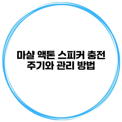마샬 액톤 스피커 충전 주기와 관리 방법