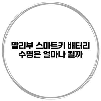 말리부 스마트키 배터리 수명은 얼마나 될까?