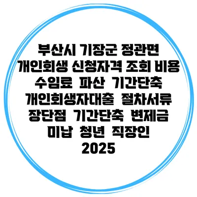 부산시 기장군 정관면 개인회생 신청자격 조회 비용 수임료 | 파산 | 기간단축 | 개인회생자대출 | 절차서류 | 장단점 | 기간단축 | 변제금 미납 | 청년 | 직장인 2025