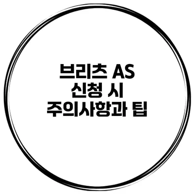 브리츠 A/S 신청 시 주의사항과 팁