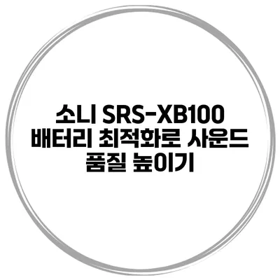 소니 SRS-XB100 배터리 최적화로 사운드 품질 높이기