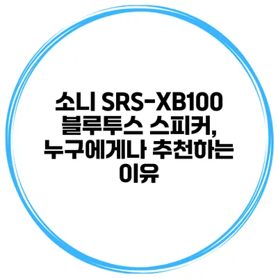 소니 SRS-XB100 블루투스 스피커, 누구에게나 추천하는 이유