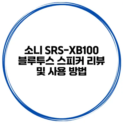 소니 SRS-XB100 블루투스 스피커 리뷰 및 사용 방법