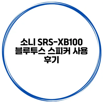 소니 SRS-XB100 블루투스 스피커 사용 후기