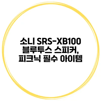 소니 SRS-XB100 블루투스 스피커, 피크닉 필수 아이템