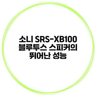 소니 SRS-XB100 블루투스 스피커의 뛰어난 성능