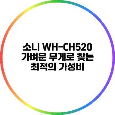 소니 WH-CH520 가벼운 무게로 찾는 최적의 가성비