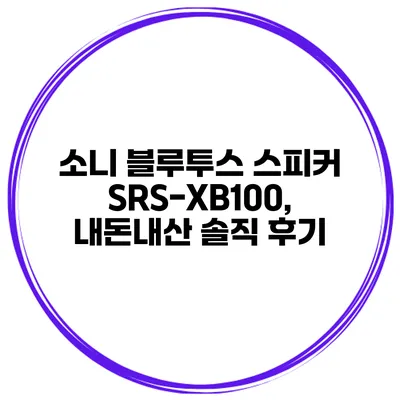 소니 블루투스 스피커 SRS-XB100, 내돈내산 솔직 후기