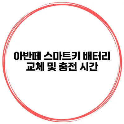 아반떼 스마트키 배터리 교체 및 충전 시간